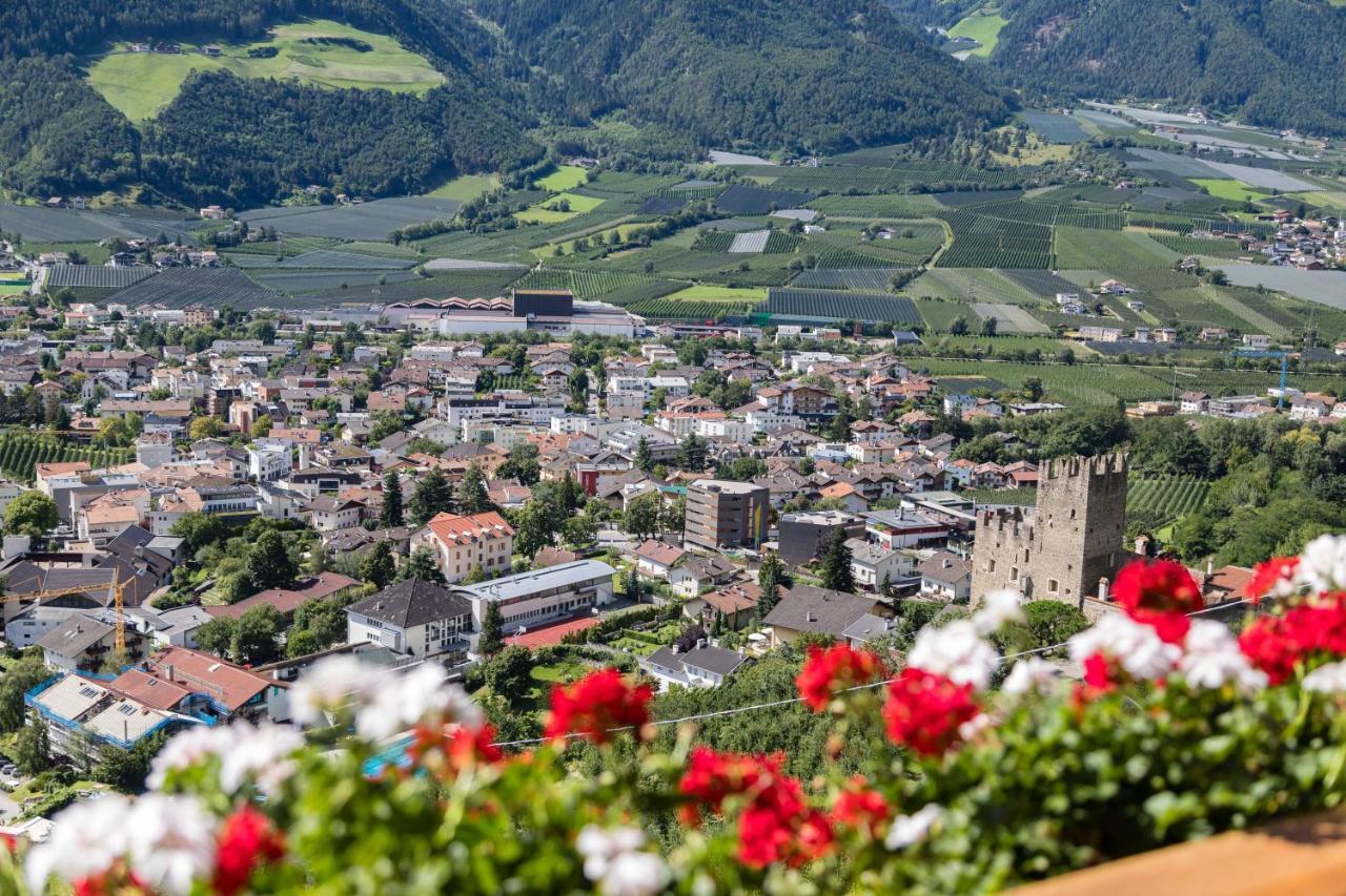 Gasthof Falkenstein Натурно Экстерьер фото